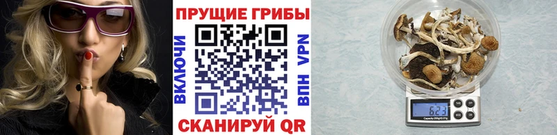 Галлюциногенные грибы Psilocybe  магазин продажи   Альметьевск 